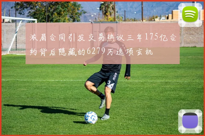 浓眉合同引发交易热议三年175亿合约背后隐藏的6279万选项玄机