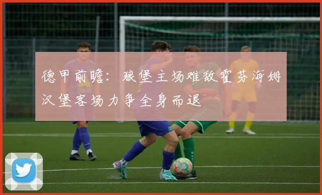 德甲前瞻：狼堡主场难敌霍芬海姆汉堡客场力争全身而退