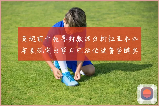 英超前十轮零封数据分析拉亚和加布表现突出萨利巴廷伯波普紧随其后